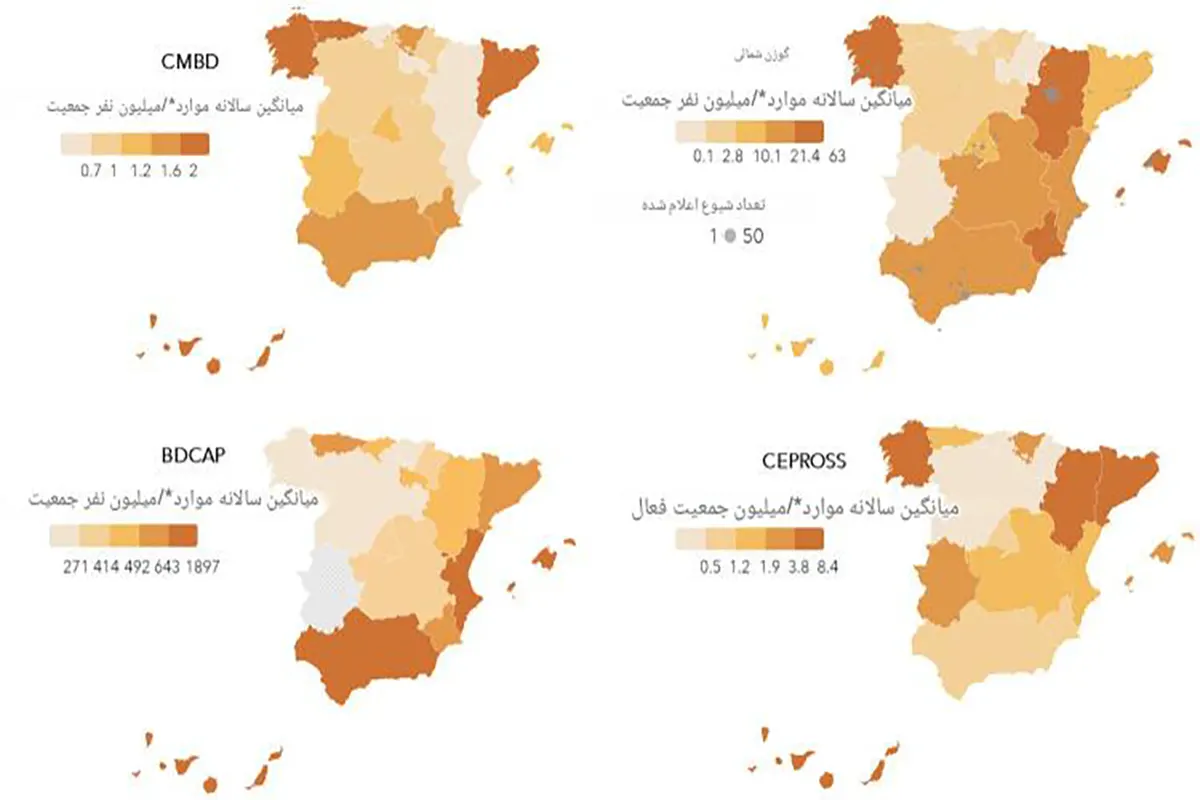 گال در اسپانیا